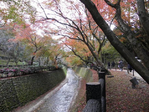 2015-11 北野天満宮・御土居下の紅葉.jpg