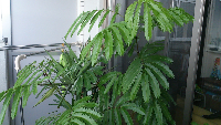 rblog-20130821151412-01.png