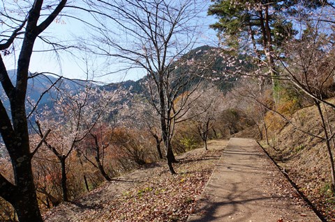 DSC07673.JPG
