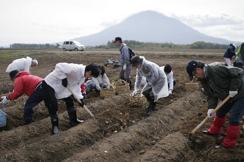 農業体験ツアー　農作業