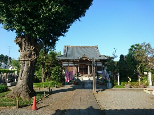 rblog-20170111235906-07.jpg