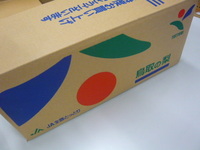 P1180290