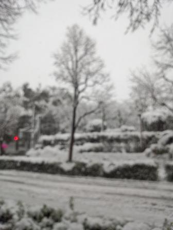 IMG_20130114_145401107.jpg