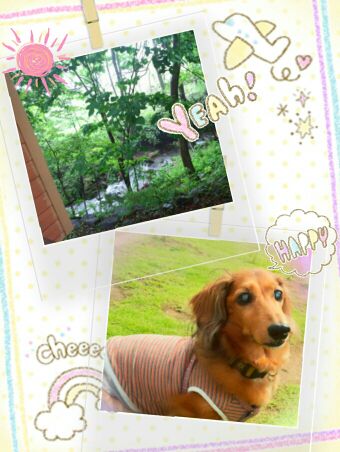 rblog-20140702224556-04.jpg