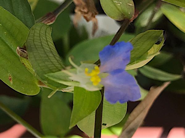 rblog-20181029111344-00.jpg