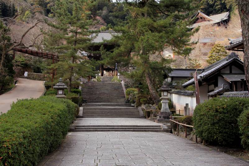 長谷寺_007仁王門・本堂.jpg