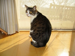 IMG_5596ss.jpg