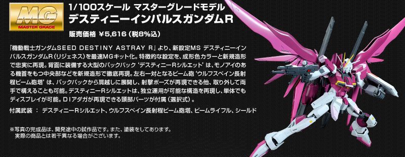 MG 1/100 デスティニーインパルスガンダムR（リジェネス）　素組完成品 Amazon | MG 1/100 デスティニーインパルスガンダム R
