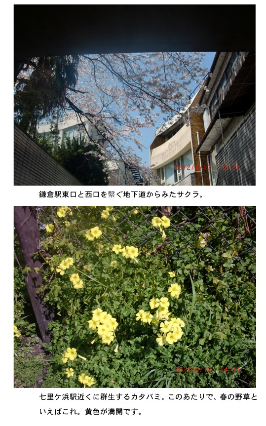 2012.04.14-5.jpg