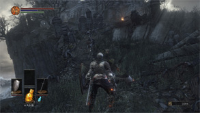 DS25.jpg