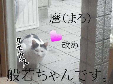 P1150163.png