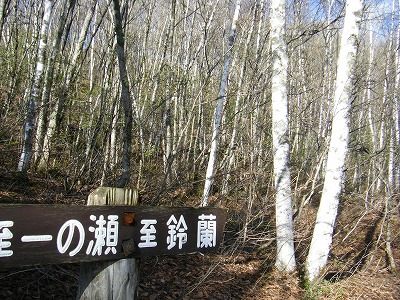 乗鞍高原道案内看板