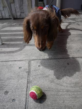 P1010637.JPG