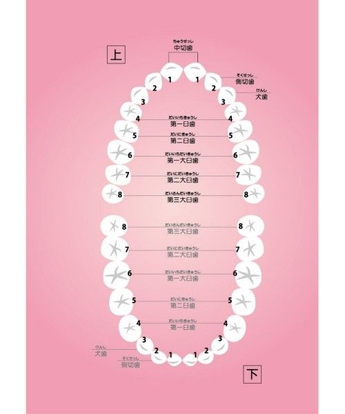 鼓動 トウタクの思い付き何でもあり日記 楽天ブログ