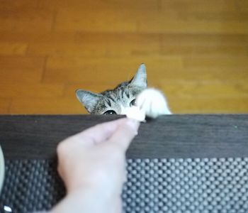ちょっとくれ