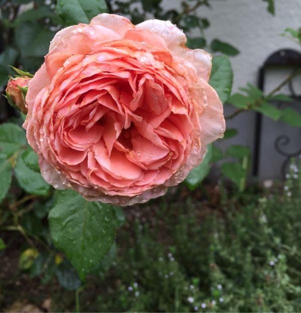 rblog-20160702234810-01.jpg