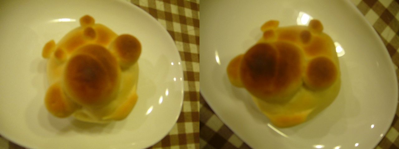 P1060479.JPG