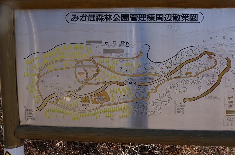 DSC03551.JPG