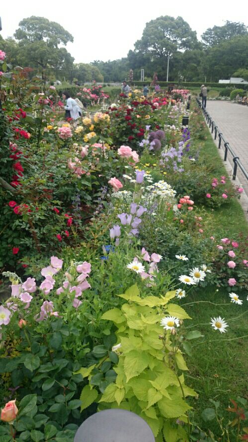 rblog-20160514202758-00.jpg