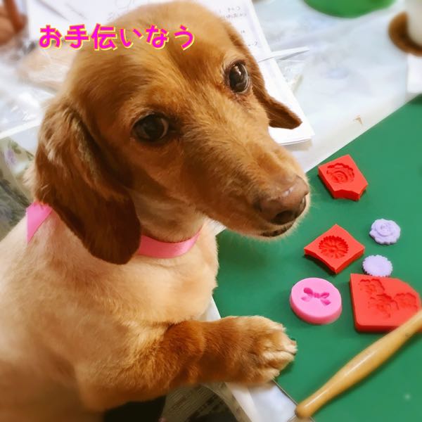 rblog-20170819011131-00.jpg