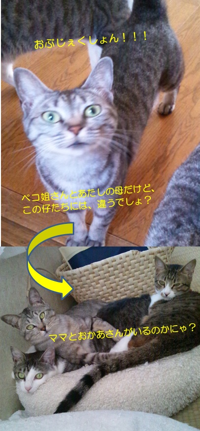 20120719_3.jpg