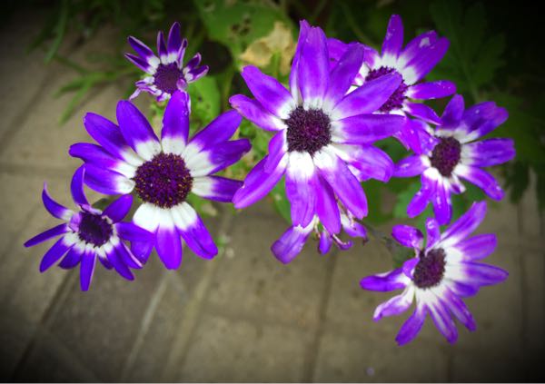 rblog-20160527132530-05.jpg