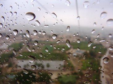 雨が降り始めました