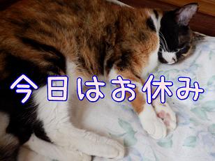 お休み.JPG