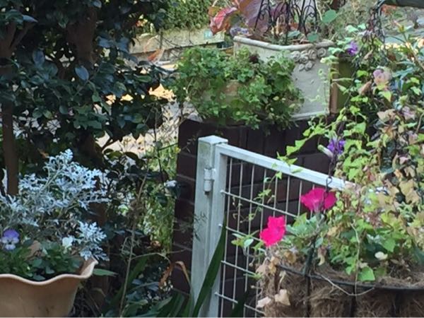 rblog-20151028185151-03.jpg
