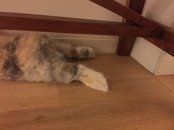 rblog-20150901162850-01.jpg
