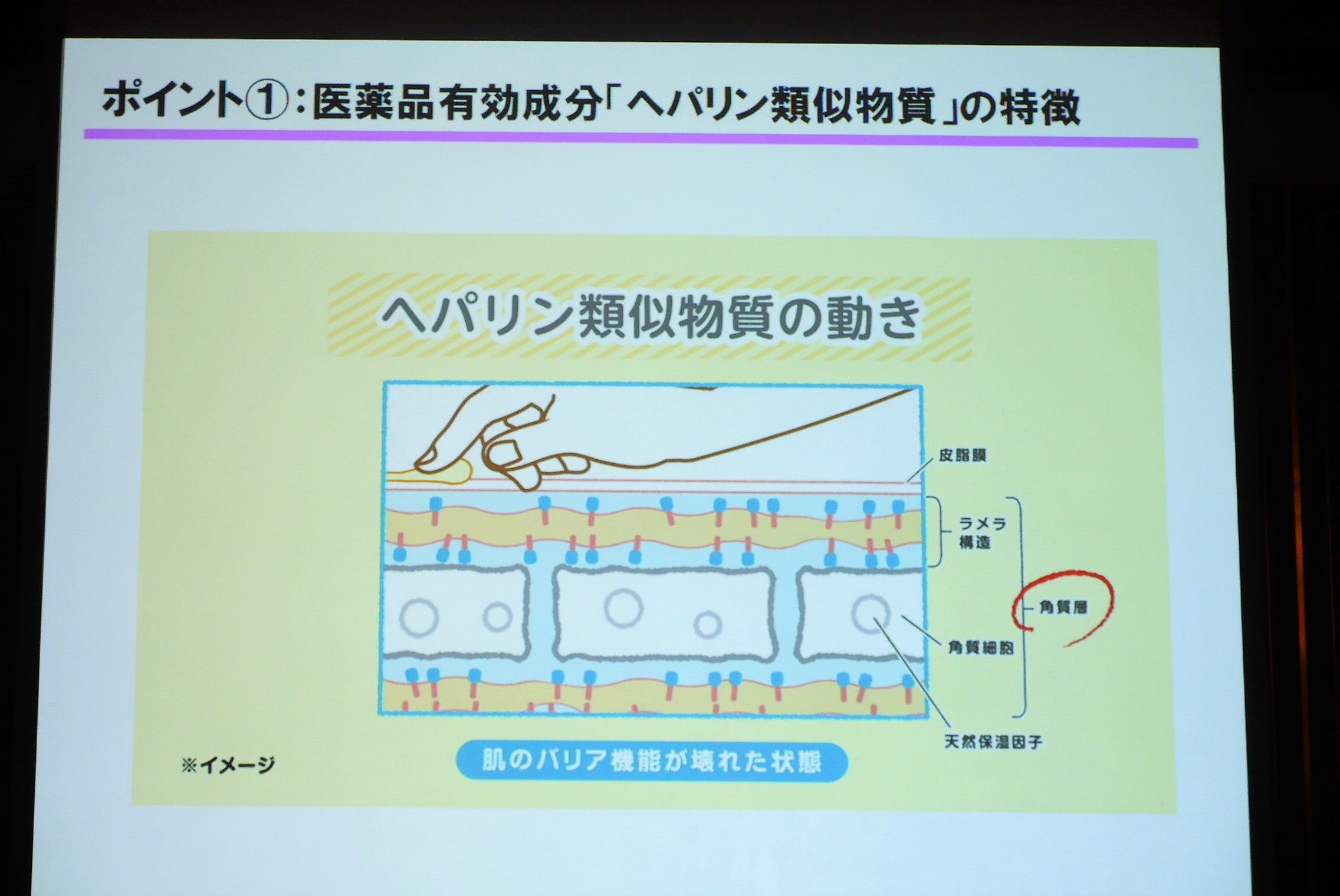 へパドロイド油性クリーム_ヘパリン類似物質の働き