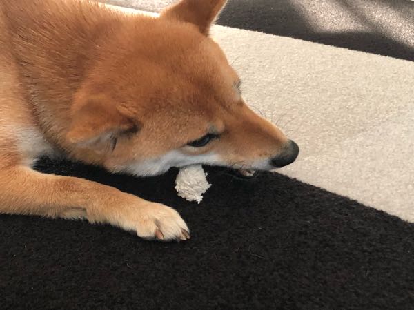 rblog-20180111105003-00.jpg