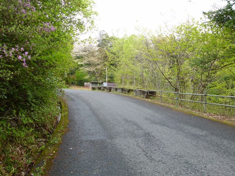 P1050760.JPG