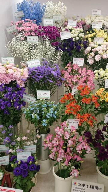 2016-02-14 10.23.20.jpg