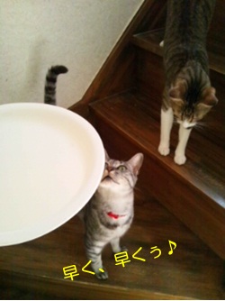 20120705_3.jpg
