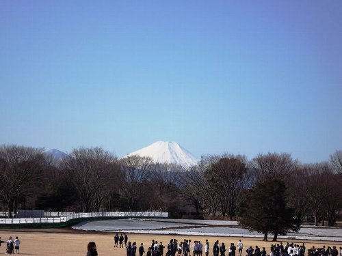 fuji1-b.jpg