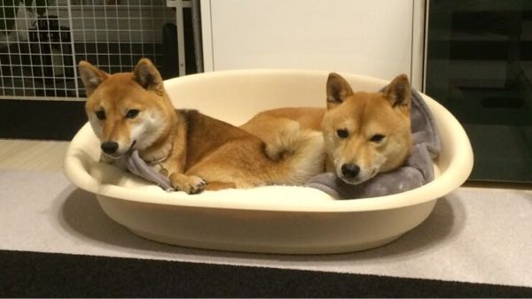 rblog-20160120000908-02.jpg
