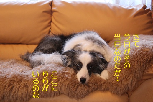 りり