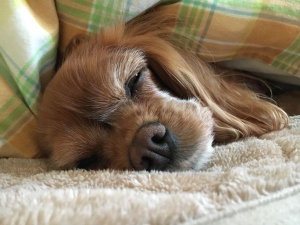 rblog-20170302190649-01.jpg