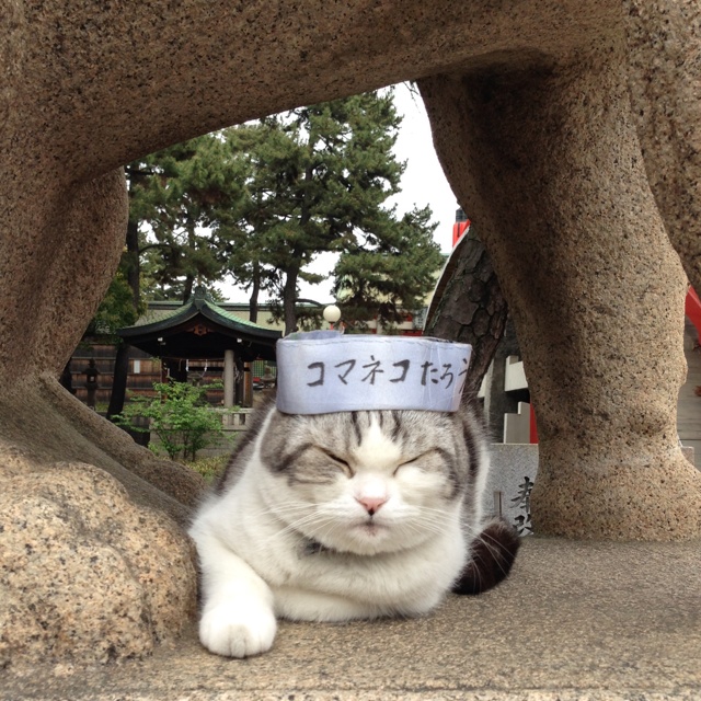 rblog-20130417152017-01.jpg