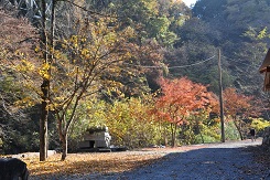 荒川キャンプ場