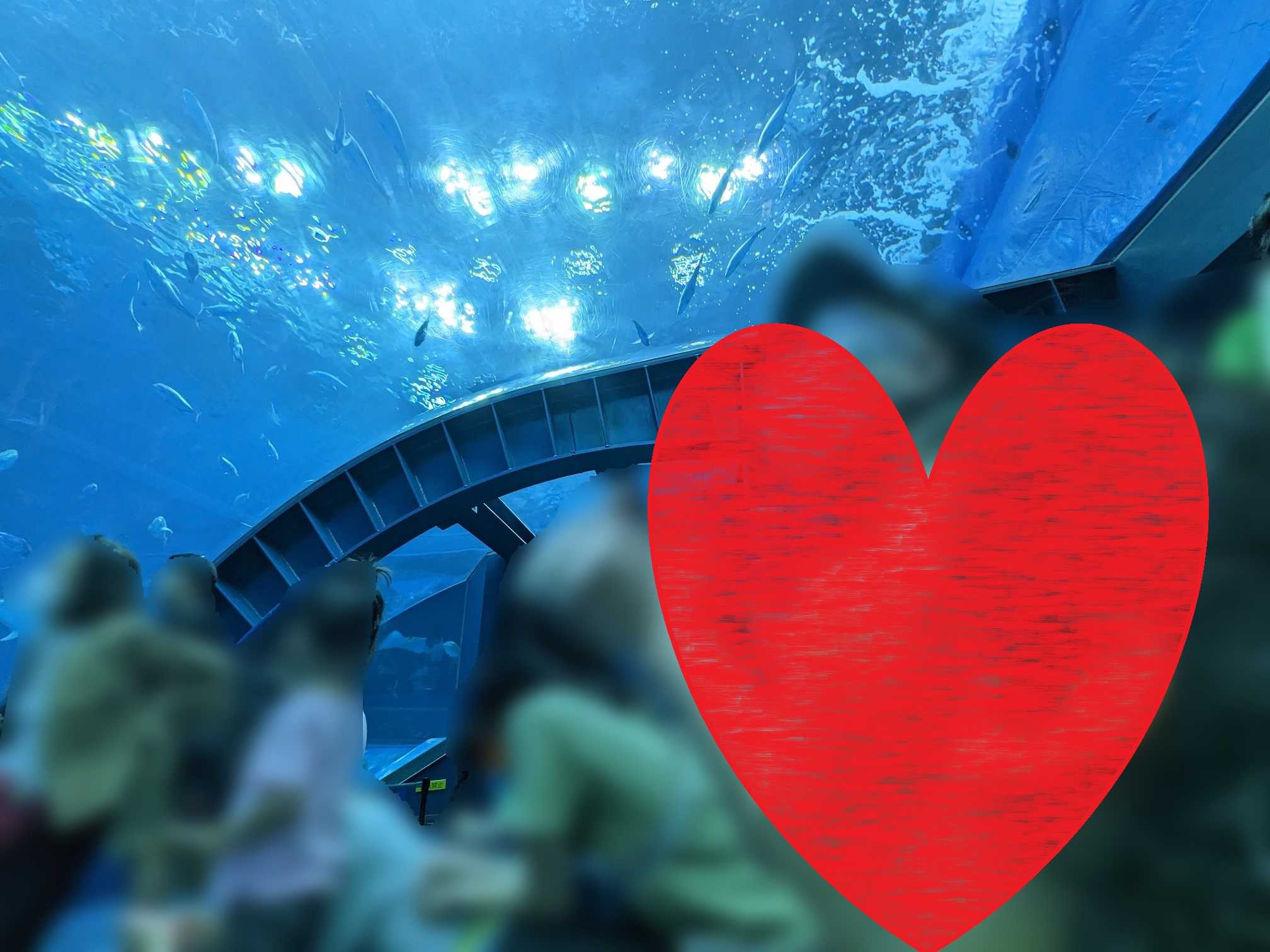 初めての美ら海水族館