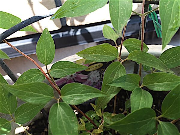 rblog-20160430181122-08.jpg