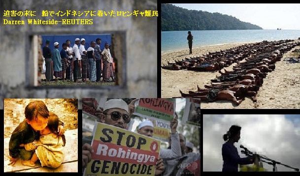 ﾛﾋﾝｷﾞｬ-4