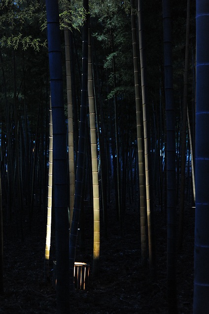 2013.3.22 050.JPG