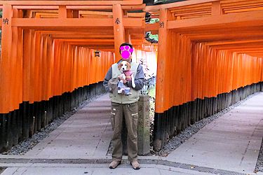 20161114千本鳥居