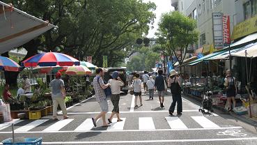 高知２.jpg