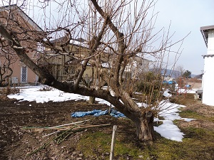 P1000097.JPG