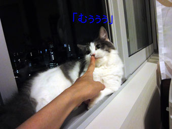 mumu18a.jpg