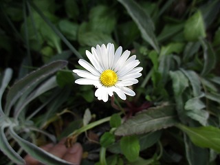 IMG_5257ss.jpg